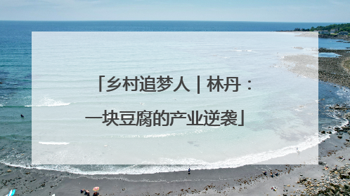 乡村追梦人｜林丹：一块豆腐的产业逆袭