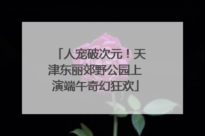 人宠破次元！天津东丽郊野公园上演端午奇幻狂欢