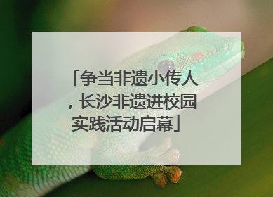 争当非遗小传人，长沙非遗进校园实践活动启幕