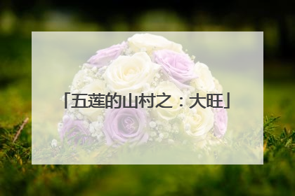 五莲的山村之：大旺