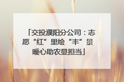 交投濮阳分公司：志愿“红”里绘“丰”景 暖心助农显担当
