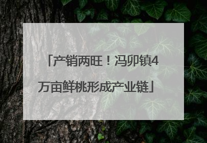 产销两旺！冯卯镇4万亩鲜桃形成产业链