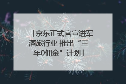 京东正式官宣进军酒旅行业 推出“三年0佣金”计划