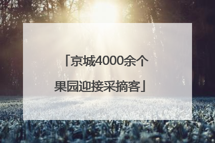 京城4000余个果园迎接采摘客