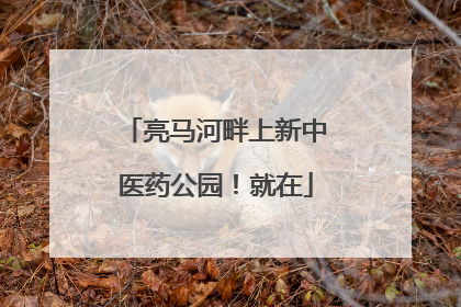 亮马河畔上新中医药公园！就在