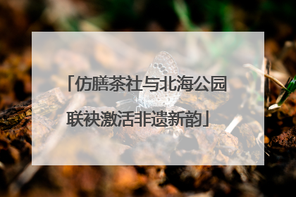 仿膳茶社与北海公园联袂激活非遗新韵