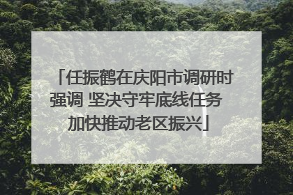 任振鹤在庆阳市调研时强调 坚决守牢底线任务 加快推动老区振兴
