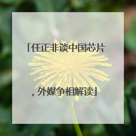 任正非谈中国芯片，外媒争相解读