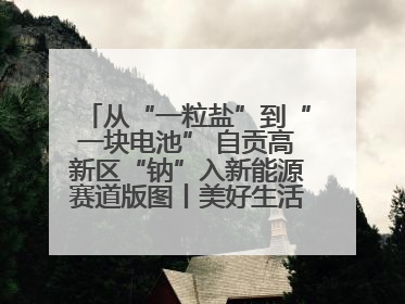 从“一粒盐”到“一块电池” 自贡高新区“钠”入新能源赛道版图丨美好生活有“盐”味