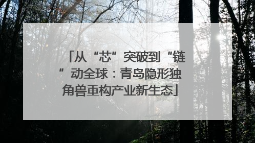 从“芯”突破到“链”动全球：青岛隐形独角兽重构产业新生态