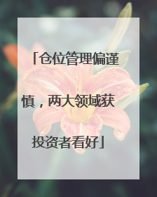 仓位管理偏谨慎，两大领域获投资者看好