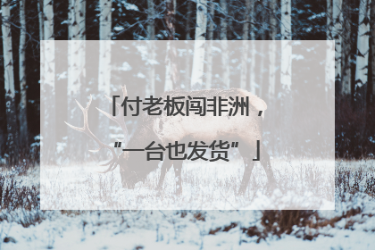 付老板闯非洲，“一台也发货”