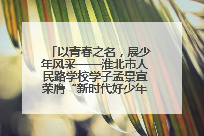 以青春之名，展少年风采——淮北市人民路学校学子孟景宣荣膺“新时代好少年”荣誉称号