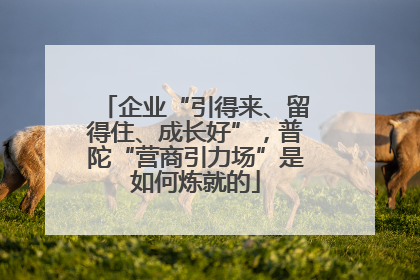 企业“引得来、留得住、成长好”，普陀“营商引力场”是如何炼就的