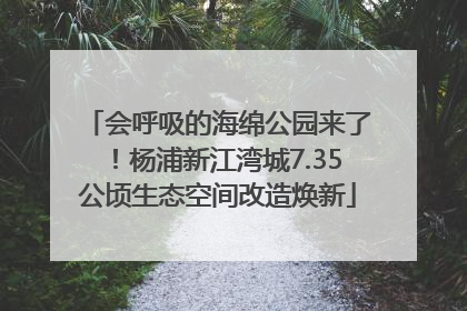 会呼吸的海绵公园来了！杨浦新江湾城7.35公顷生态空间改造焕新