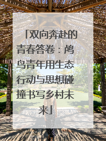 双向奔赴的青春答卷：鸬鸟青年用生态行动与思想碰撞书写乡村未来