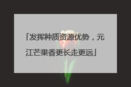 发挥种质资源优势，元江芒果香更长走更远