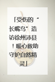 受伤的“长嘴鸟”造访徐州沛县！暖心救助守护自然精灵
