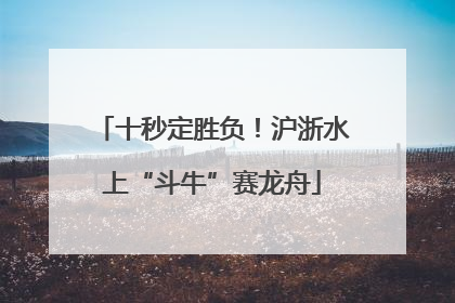 十秒定胜负！沪浙水上“斗牛”赛龙舟