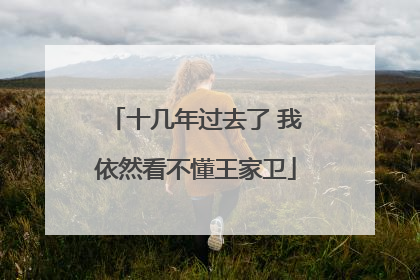 十几年过去了 我依然看不懂王家卫