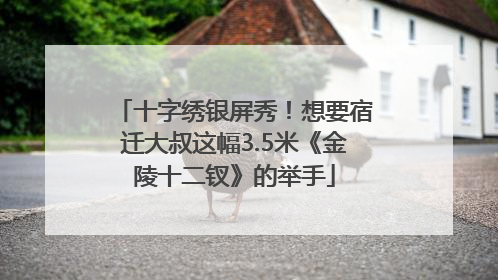 十字绣银屏秀！想要宿迁大叔这幅3.5米《金陵十二钗》的举手