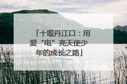 十堰丹江口：用爱“电”亮天使少年的成长之路
