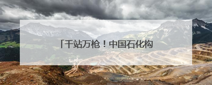 千站万枪！中国石化构建湖北绿色出行新格局