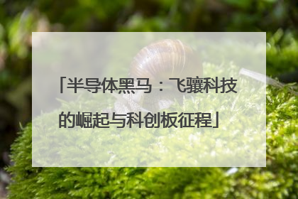 半导体黑马：飞骧科技的崛起与科创板征程