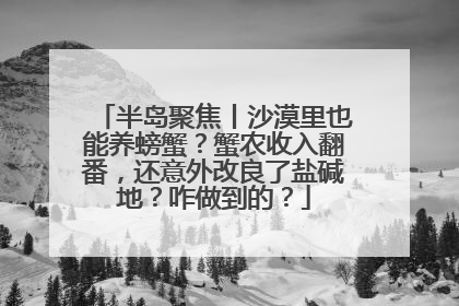 半岛聚焦丨沙漠里也能养螃蟹？蟹农收入翻番，还意外改良了盐碱地？咋做到的？
