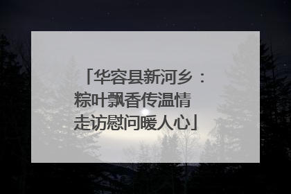 华容县新河乡：粽叶飘香传温情 走访慰问暖人心
