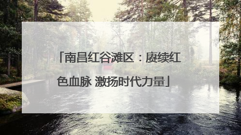 南昌红谷滩区：赓续红色血脉 激扬时代力量