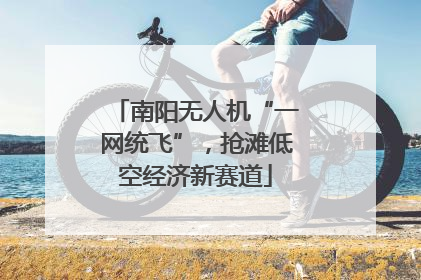 南阳无人机“一网统飞”，抢滩低空经济新赛道