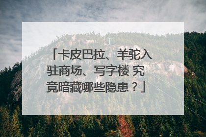 卡皮巴拉、羊驼入驻商场、写字楼 究竟暗藏哪些隐患？