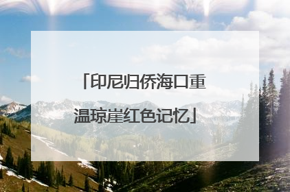 印尼归侨海口重温琼崖红色记忆