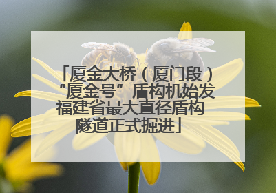 厦金大桥（厦门段）“厦金号”盾构机始发 福建省最大直径盾构隧道正式掘进