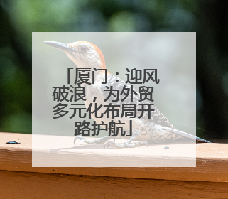 厦门：迎风破浪，为外贸多元化布局开路护航