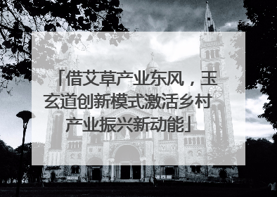 借艾草产业东风，玉玄道创新模式激活乡村产业振兴新动能