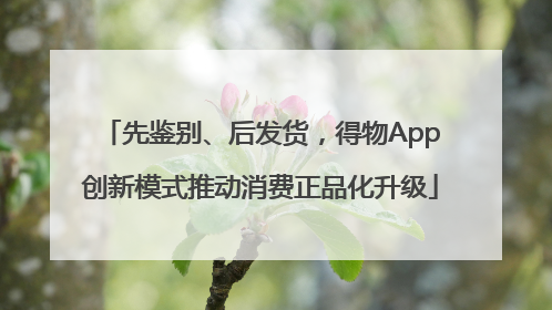 先鉴别、后发货，得物App创新模式推动消费正品化升级