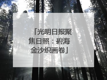 光明日报聚焦日照：碧海金沙织画卷