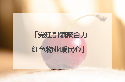 党建引领聚合力 红色物业暖民心