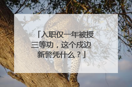 入职仅一年被授三等功，这个戍边新警凭什么？