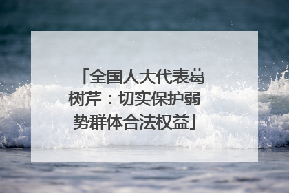 全国人大代表葛树芹：切实保护弱势群体合法权益