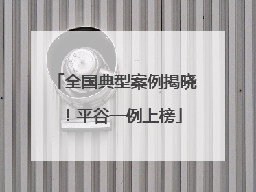 全国典型案例揭晓！平谷一例上榜