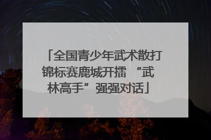 全国青少年武术散打锦标赛鹿城开擂 “武林高手”强强对话