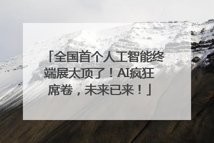 全国首个人工智能终端展太顶了！AI疯狂席卷，未来已来！