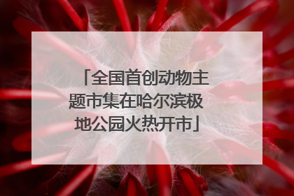 全国首创动物主题市集在哈尔滨极地公园火热开市