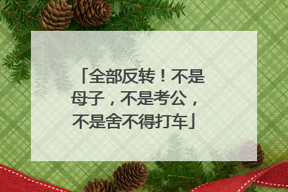 全部反转！不是母子，不是考公，不是舍不得打车