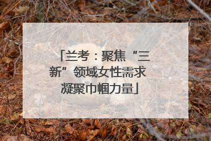 兰考：聚焦“三新”领域女性需求 凝聚巾帼力量
