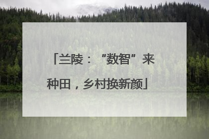 兰陵：“数智”来种田，乡村换新颜