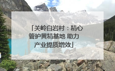 关岭白岩村：精心管护黄精基地 助力产业提质增效
